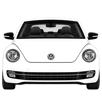 Beetle