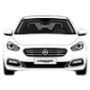 (2012-2017)